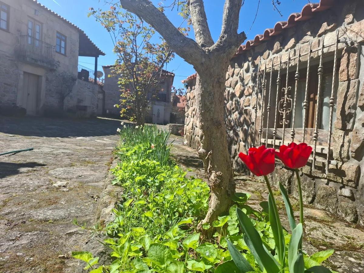 Casas Do Juizo - Country Houses Kültér fotó